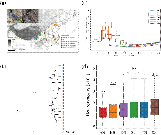 Graphical_Abstract_Image_use